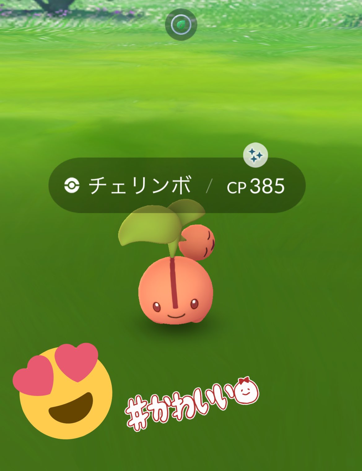 Morpeko 旬な子 が来てくれた O ﾟ ﾟ O 嬉しい ポケモンgo 色違い チェリンボ T Co G6tmmngcgc Twitter