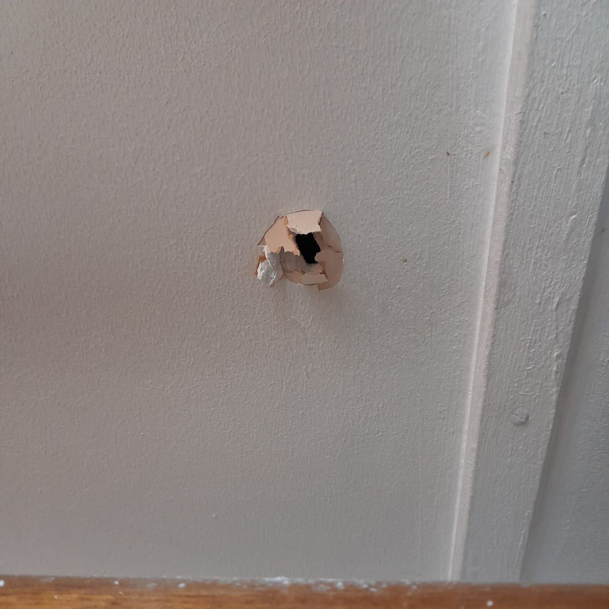 ElVictorPo's tweet photo. Acaba de caer una bala loca en la casa del vecino de mi mamá en la comuna de Maipú.
  De milagro se salvó, no la cuenta dos veces.
  Estaba cocinando junto a su hija cuando sintió un estruendo y se dió cuenta que era una bala loca que rompió el techo y rompió su chaqueta 😬 https://t.co/docfPDJuGm