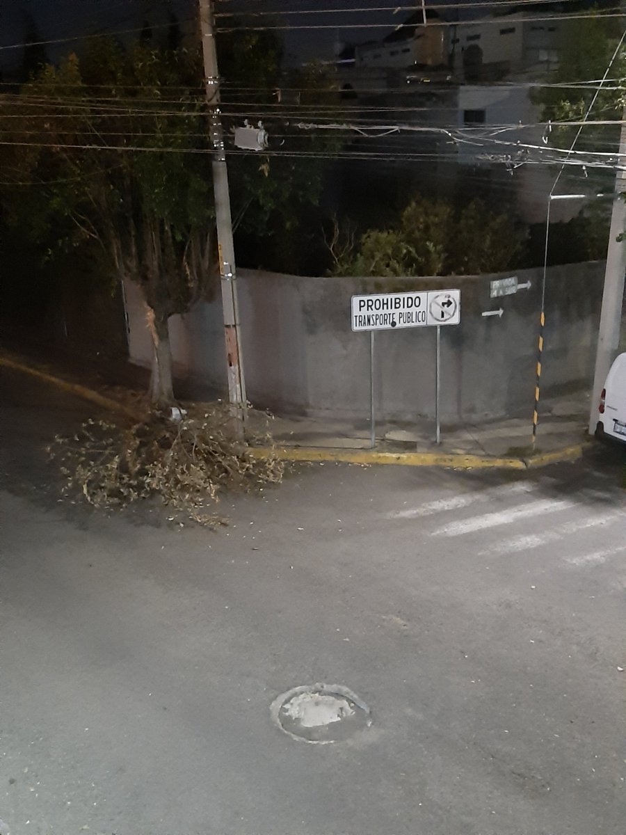 AleromboVMC's tweet photo. Por favor @anzures_vecinos ayúdame a compartir con las autoridades competentes medio árbol tirado en calle, podría ocasionar accidente Privada 37 ote esquina con 4a sur anzures https://t.co/V8TN4AHRJq