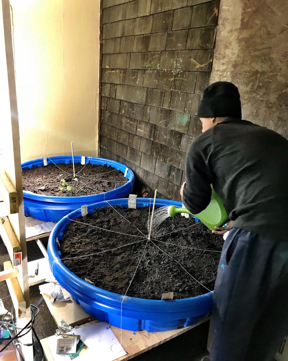 GeorgeCroom's tweet image. That one #EarthDay when my bro and I built an aquaponics system in my house #progressnow