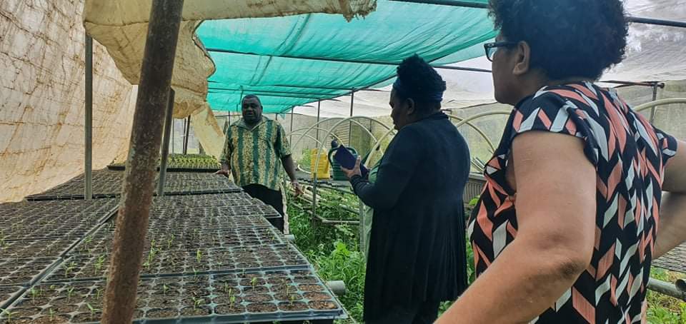 LeikitahN's tweet photo. It was a nerve-racking but awesome experience travelling the steep road to Nadarivatu for broadmites and thrips sampling on  smallholder vegetable farms. Glad to share this experience with @AradhanaDeesh fellow  @PASS_CR scholar, our supervisor @mereiaf,Ash and Save. https://t.co/wR5iqJqthy