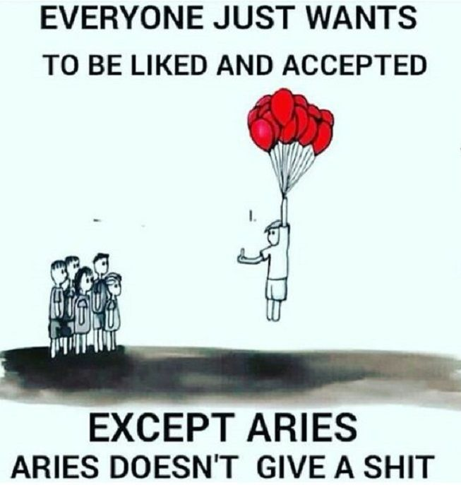LilacWoof's tweet photo. @RoxyIsTheBest__ aries https://t.co/HSSriU0knr