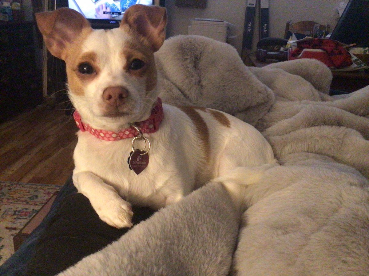 ejayj7766's tweet photo. @quince3568 This little girl…….smart, very smart. https://t.co/ySTNXPxl5N
