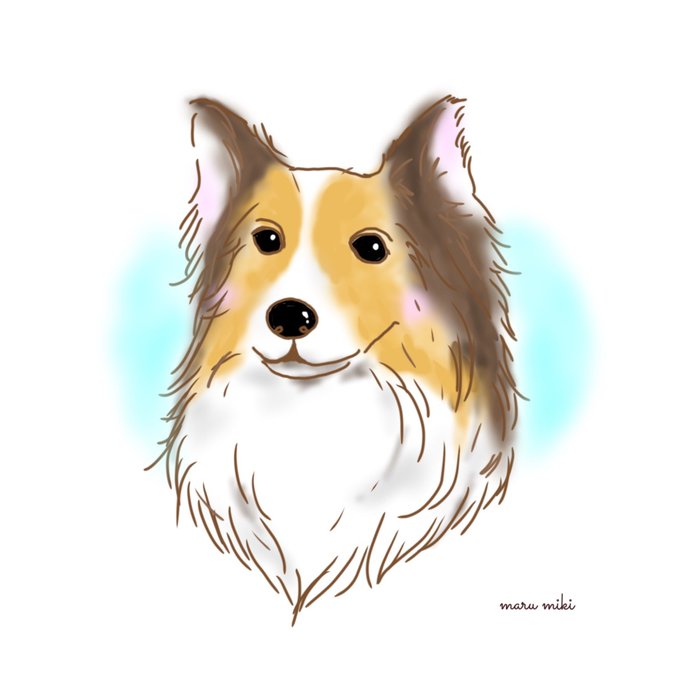 シェルティのtwitterイラスト検索結果 古い順