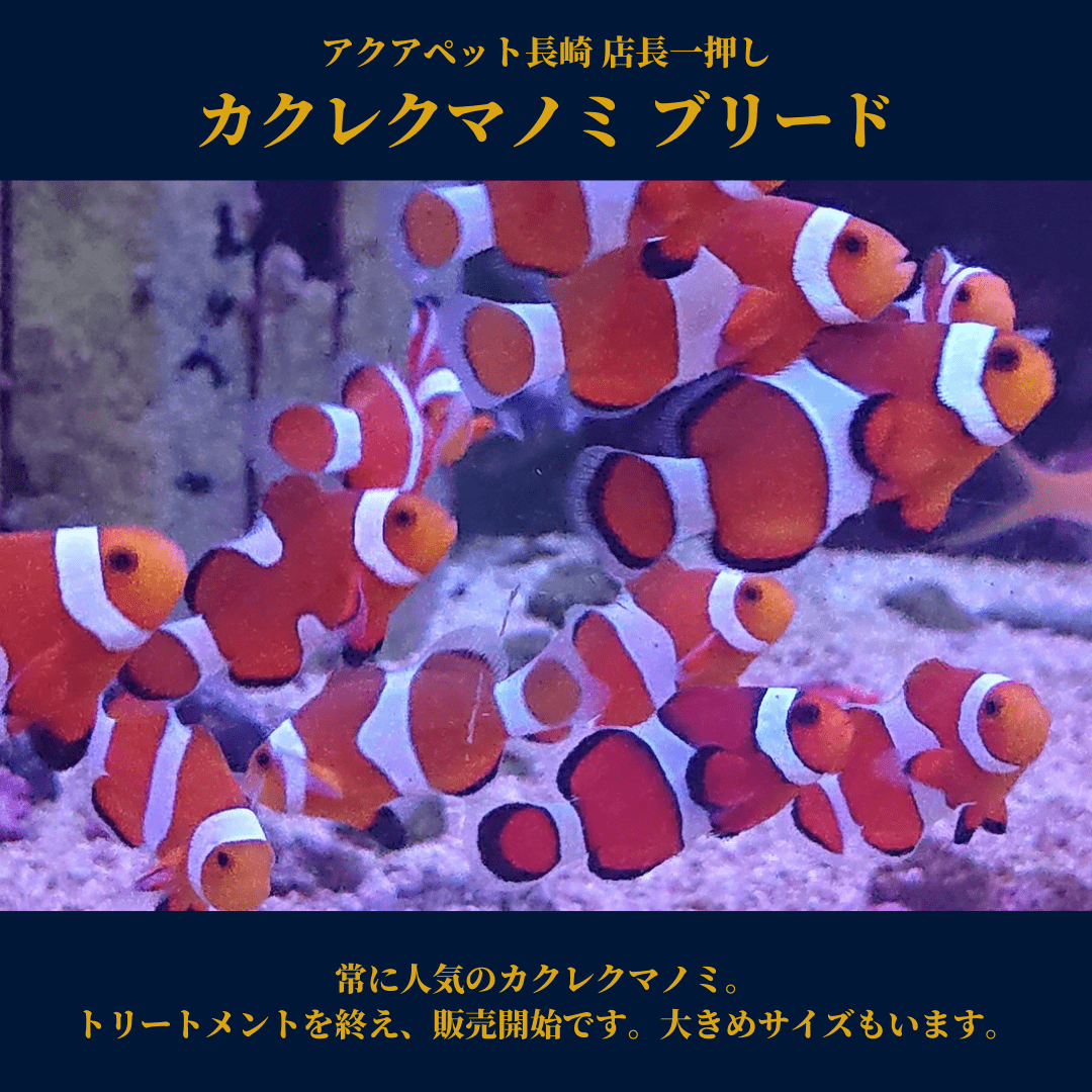 Ve El Tweet De Aquapet Group En Twitter Twitter