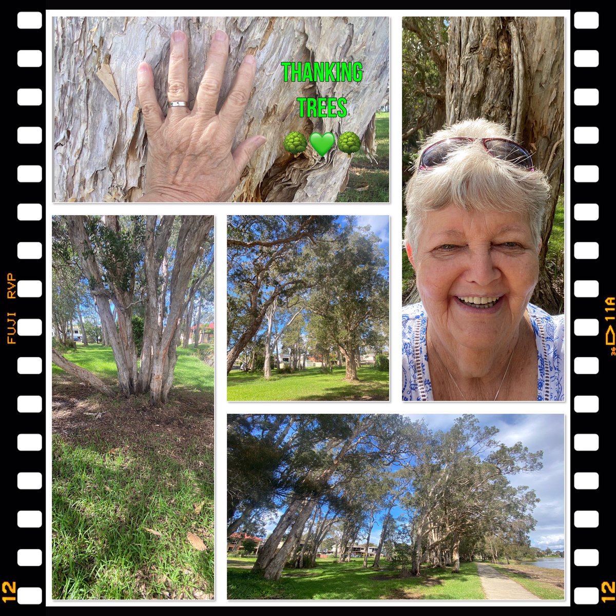 DenyseWhelan1's tweet photo. @dearindira I spent some time walking here today…along side of a lake near home but paying FAR more attention to the #trees &amp; 5 colours #green #yellowgreen &amp; #thanking them for their reassuring &amp; healing presence! Reading your book #TheSpaceBetweenTheStars &amp; learning 💚🌳 https://t.co/emLB61SF0o