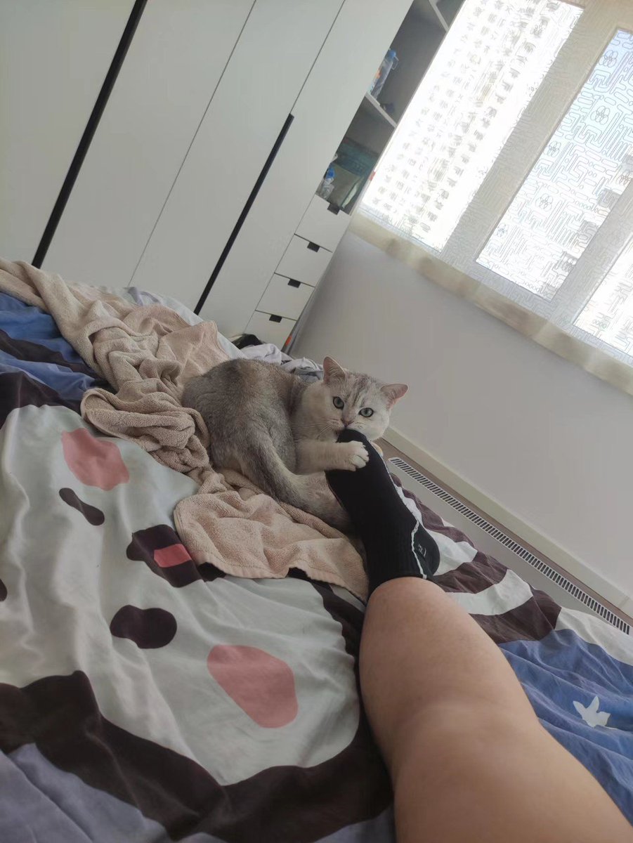 StevenxvS's tweet photo. #熊猴 
#锦州   有没有锦州的猴m喜熊主 https://t.co/oWkXdjyJJs