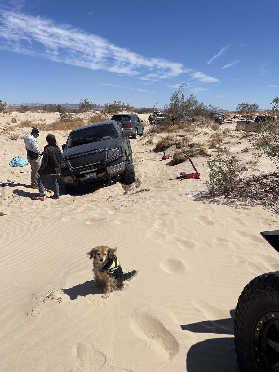 Graychik's tweet photo. Desert Recovery: #Yermo #NewberrySprings (22-27) four trucks stuck in the soft sand of the #Barstow outback…Team effort to get them out and back on the dirt road. Always free! #Harlie #PayinItForward #DidntAsk https://t.co/9Z3Nu7khMV