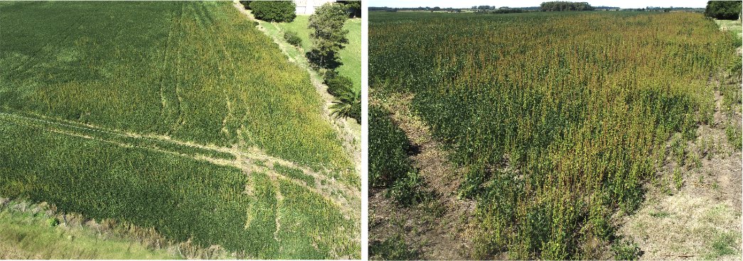 Tiago Kaspary (@edukaspary) on Twitter photo 