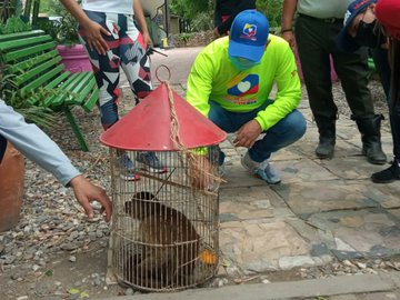 Incesocialista's tweet photo. #15Abr | Juventud Inces participó en despliegue en el Parque Macuto junto a los integrantes de la #MesaDelVivirBien 

#SemanaSantaLara2022 #JuventudInces https://t.co/B7C8N2giih