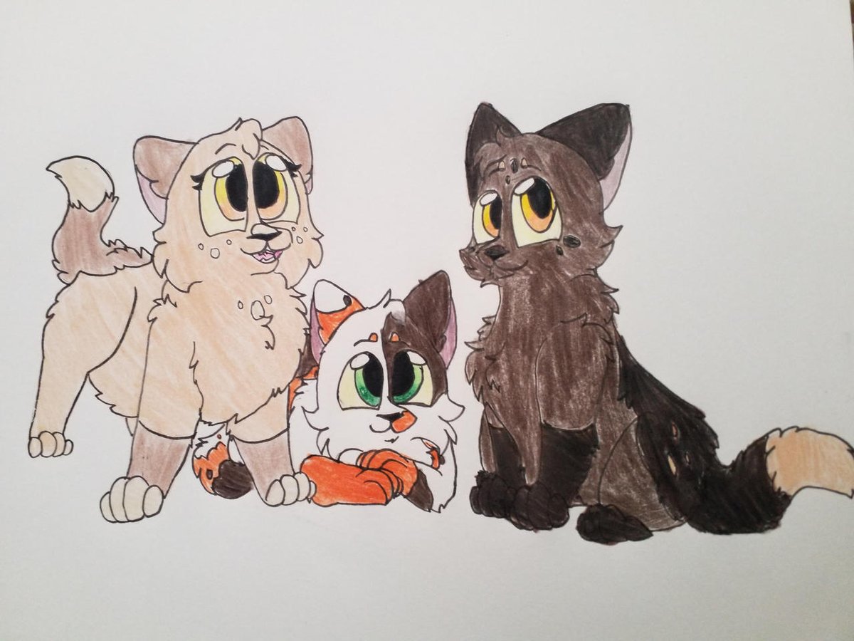 Kattren055's tweet image. Mapleshade's Kits
#warriorcats #patchkit #petalkit #larchkit