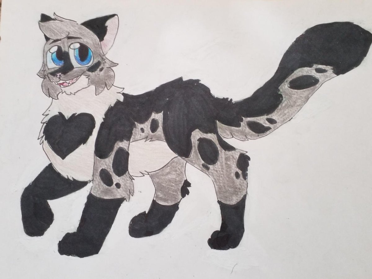 Kattren055's tweet photo. Willownose and Shellheart
#warriorcats #willownose #shellheart https://t.co/A7JKEa690Q
