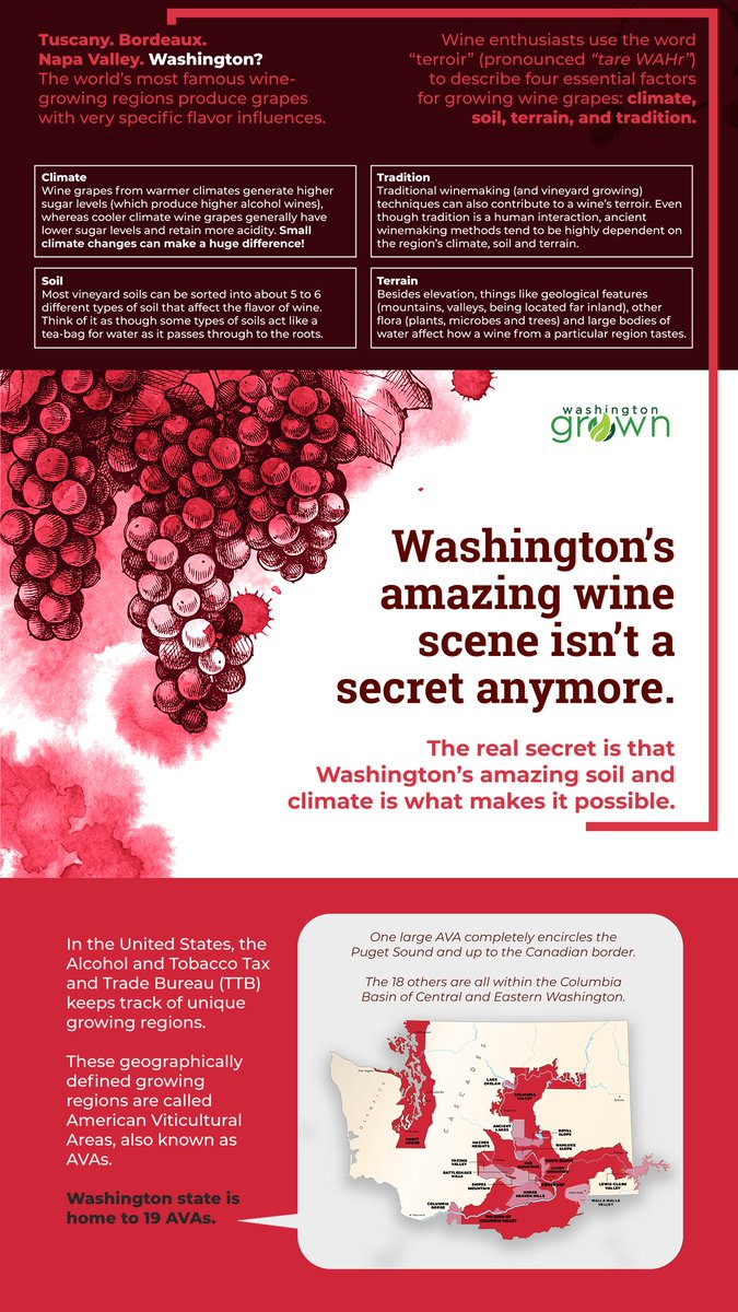 Washington's amazing wine scene isn't a secret anymore... 🍷 It's all in our perfect climate and soil!
#WAGrown #WashingtonGrown #wawine #wine #winelover #winetime