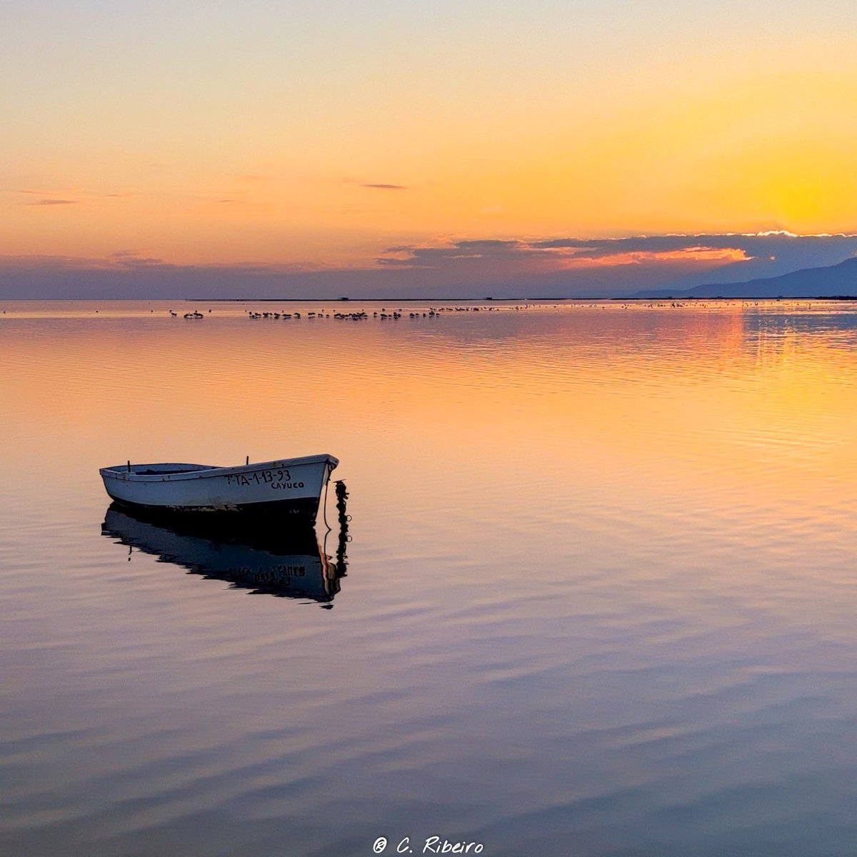 Rifocr's tweet photo. #deltebre #deltadelebre #descobreixcatalunya #terresdelebre  #poblenoudeldelta #somebre #baixebre #celscatalans #catalunyaexperience #clikcat #catalunyasud #ebreactiu #elmeupetit_pais #gaudeix_cat #queboniceseldelta #reservadelabiosfera #total_tarragona #total_catalunya https://t.co/q9qLiP82GF