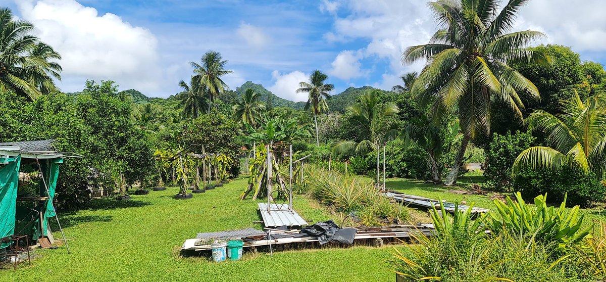 And on the 7th day of my parents' iso, I test positive 💁🏻‍♂️
Parents are fine, and so am I 😉 Thankful my symptoms are very mild, and I got all the work setting up the survey done beforehand 🤗

7 days for me in this beauty 🥰