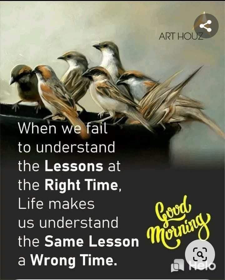 MostafaKC's tweet image. 