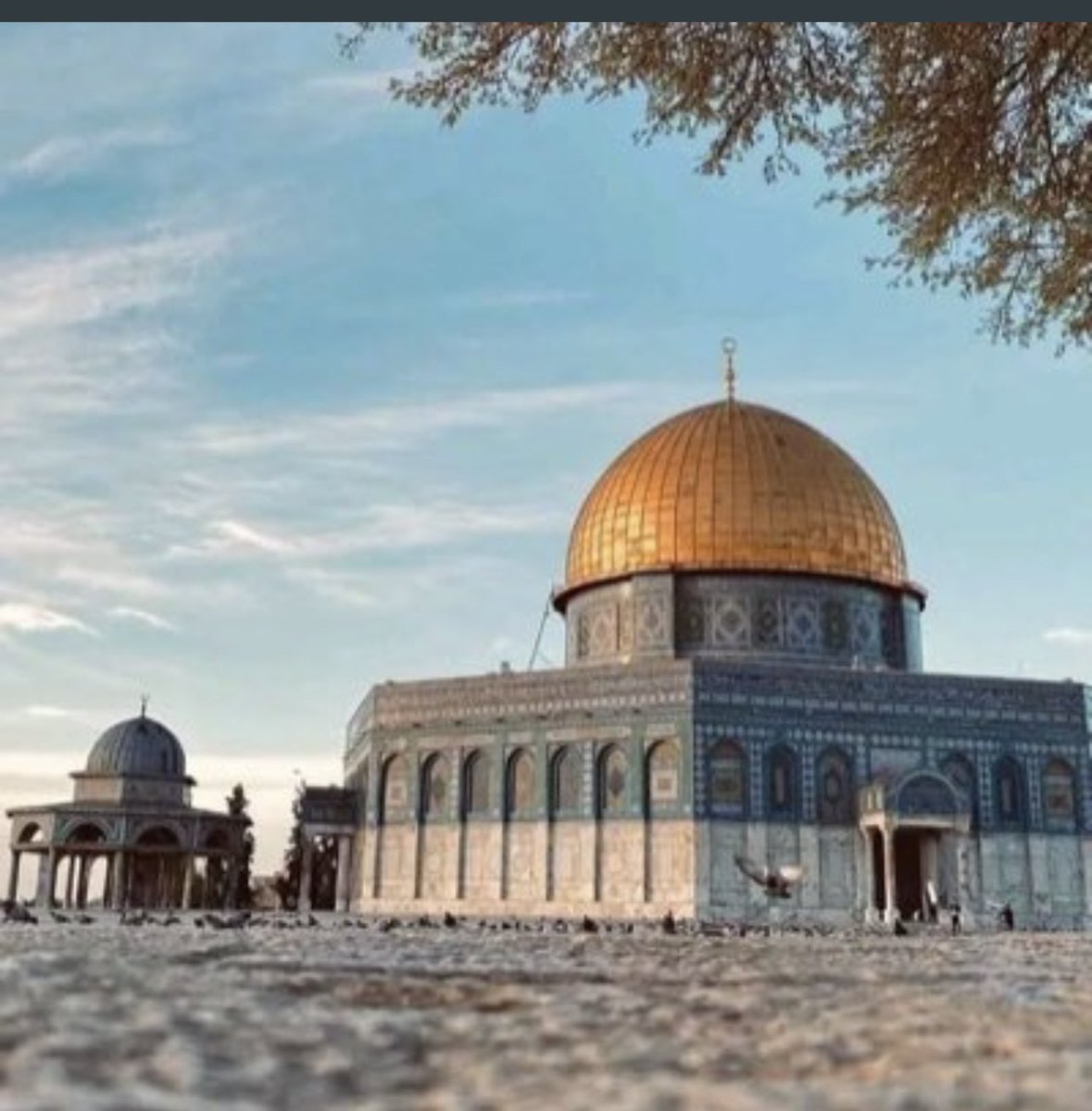 #المسجد_الأقصى 
#المسجد_الأقصي_بأعيننا 
#لن_يمر_الاقتحام 
يَا أَيُّهَا الَّذِينَ آمَنُوا اصْبِرُوا وَصَابِرُوا وَرَابِطُوا وَاتَّقُوا اللَّهَ لَعَلَّكُمْ تُفْلِحُونَ (200) سورة ال عمران