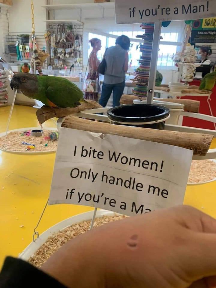 mightbecursed's tweet photo. https://t.co/r567yPtvkx