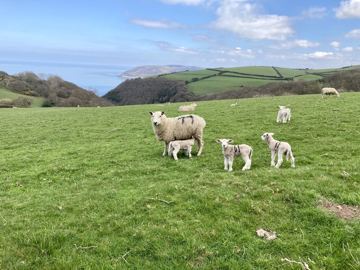 ExmoorNPCs's tweet photo. Out on a 10.6 mile circular from #Porlock Weir this afternoon taking in Culbone Church, Withy Combe, Smalla Combe, Pittcombe Head, Hawk Combe &amp; Porlock #Exmoor #ExmoorClassic @ExmoorNP @visitexmoor https://t.co/qT6UnK7cg5