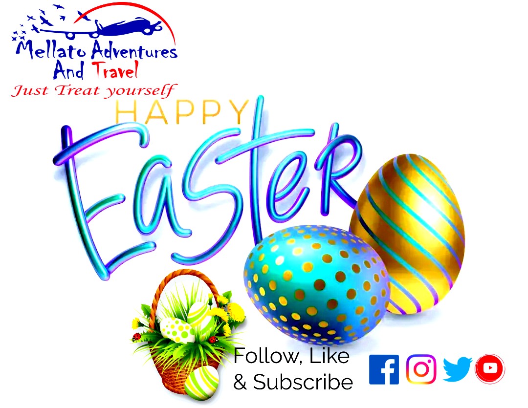MellatoA's tweet photo. Happy Easter Holidays https://t.co/G2ba8ZL7Pn