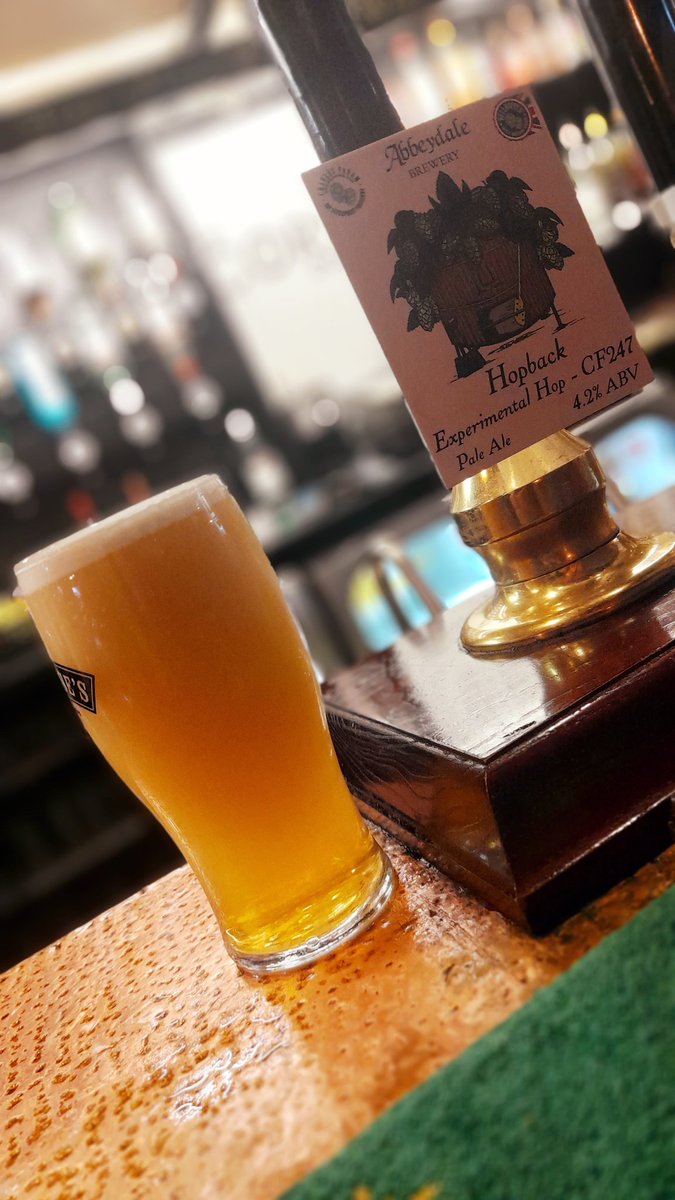 #PintOfCask #PintOfCaskBeer #PintOfCaskAle #PintOfAle #PintOfBeer @TwistedWheelBC @AbbeydaleBeers via #TheCornDolly #CornDolly #Bradford #WestYorkshire #Yorkshire #VisitYorkshire #SupportLocal #DrinkLocal #ShopLocal #GingRealAleTrail @Stuart_Pickard #CraftBeer #Beer #RealAle #Ale