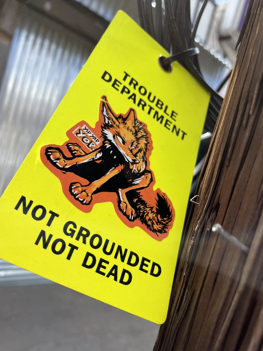 animal art crimes (animalartcrimes) さんのイラスト・マンガ作品まとめ (269 件) Twoucan