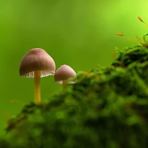 Hayat değil kusurlu olan bizim bakışımızdır.