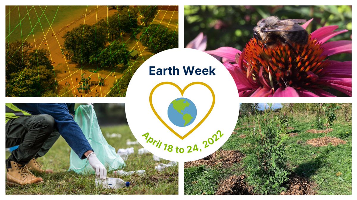 TownofWhitby's tweet photo. #EarthWeek (April 18 - April 24) & #EarthDay (April 22) is a great time to celebrate our wonderful planet. We are hosting several activities, including a Bee Seminar🐝, a Litter Blitz 🚯, a #CommunityTreePlanting🌳 and more! Visit https://t.co/WJwuZXY8F6 to sign up! #Environment https://t.co/pejx0fyzBk