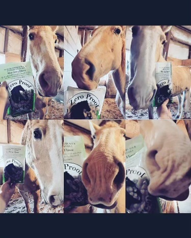 ZeroProofHorse's tweet photo. We love feedback!  Thank you, Jamie V. “After many (many) failed attempts to take a quality picture of my mare with the treats, I have given up! But as you can see she loves them! https://t.co/dJNy0BTPoh