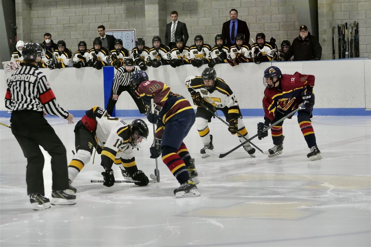N.H. Firebirds tweet media