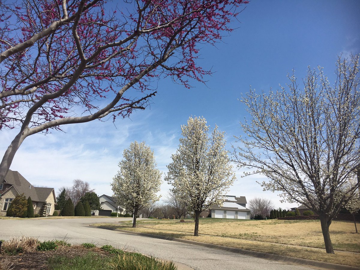 robinlorenson's tweet photo. 2.5 miles on this beautiful day!!! #kswx https://t.co/VnwqdpFRCE