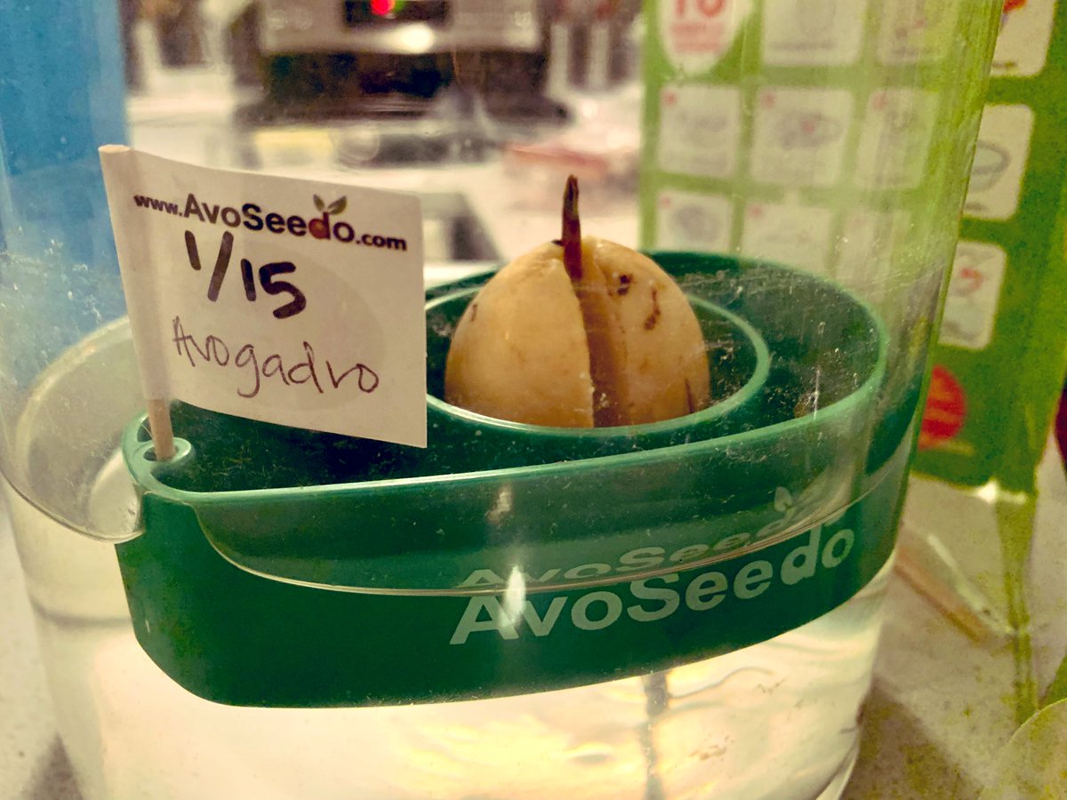 Jennifer Yokoyama tweet media