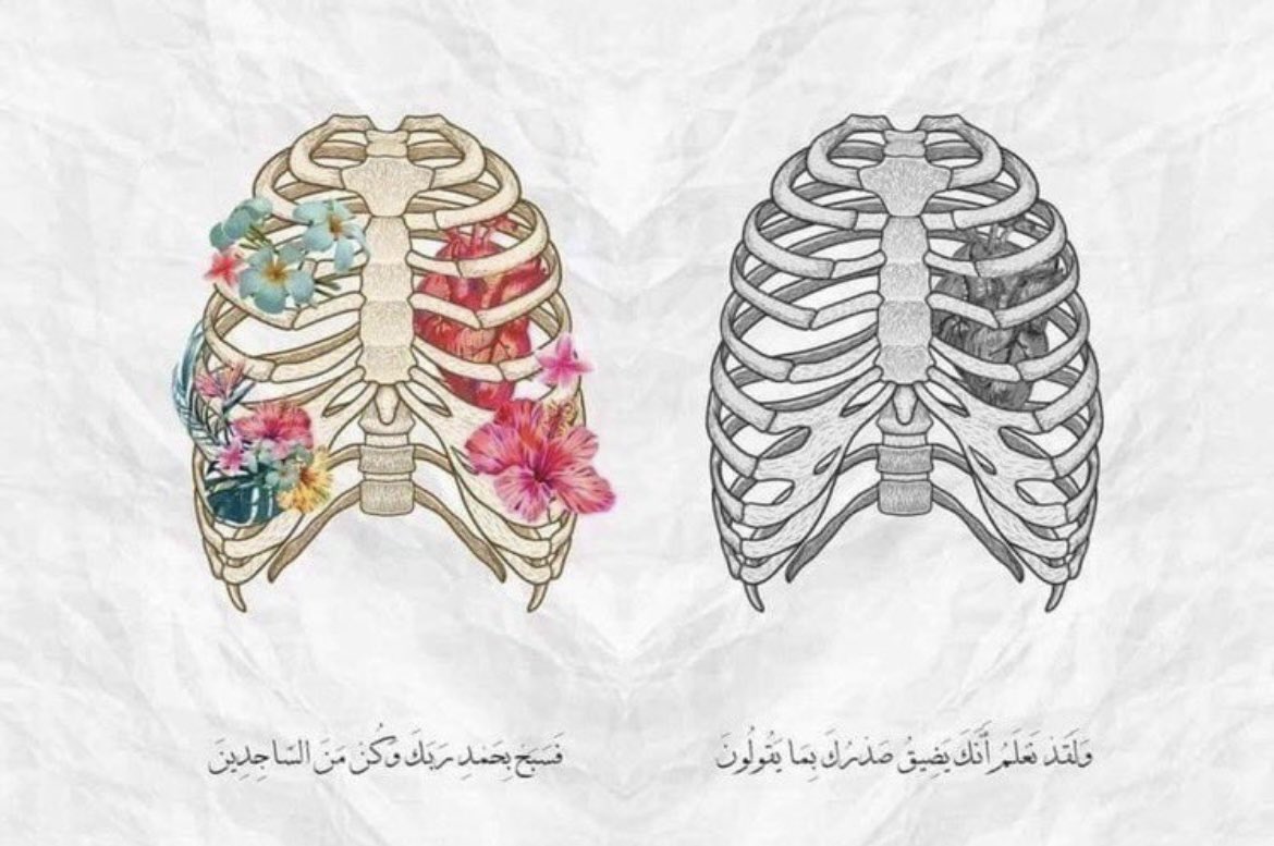 خليفه الخشرم (@alkhashram_) on Twitter photo 