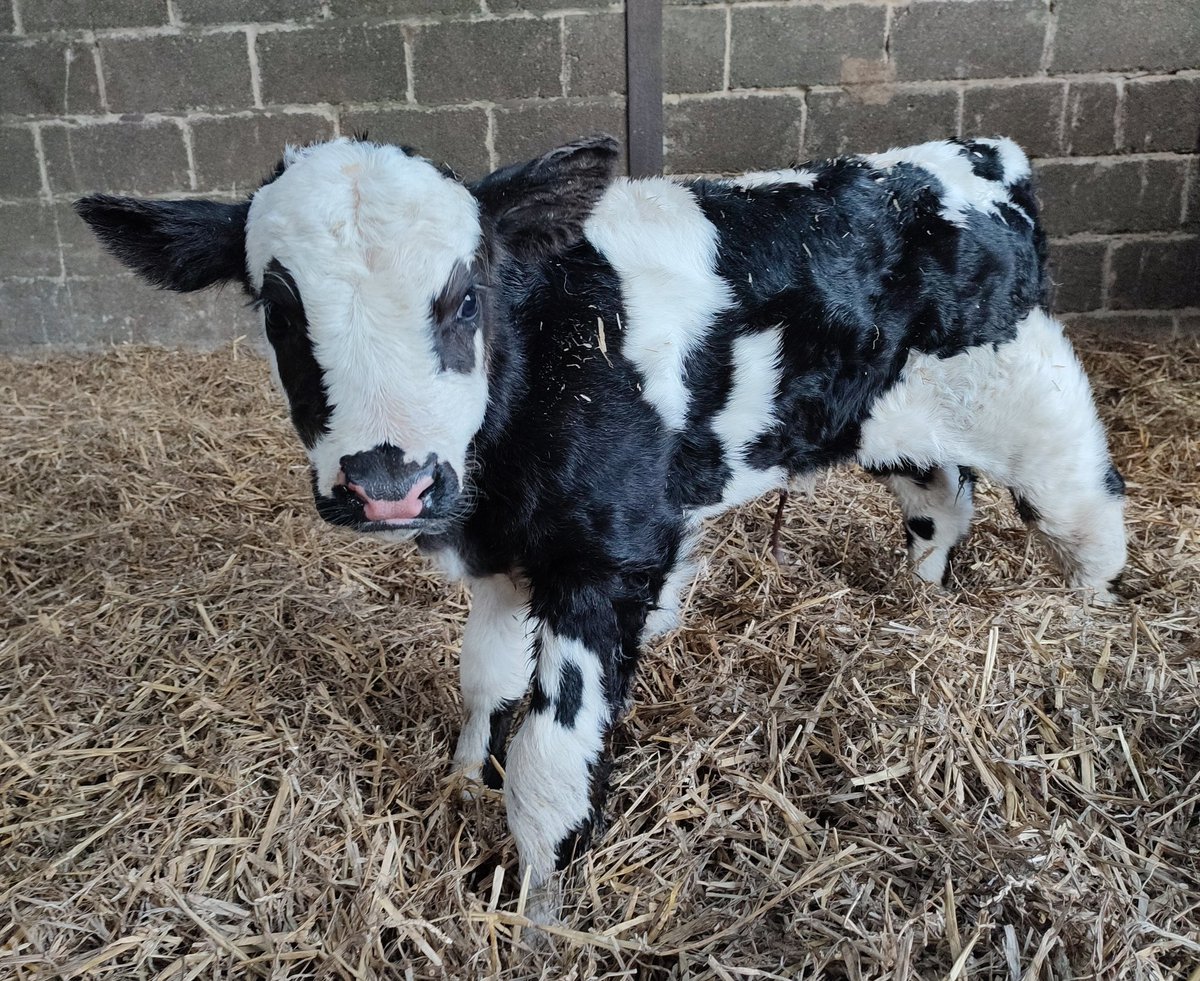 CW Farm Vets tweet media