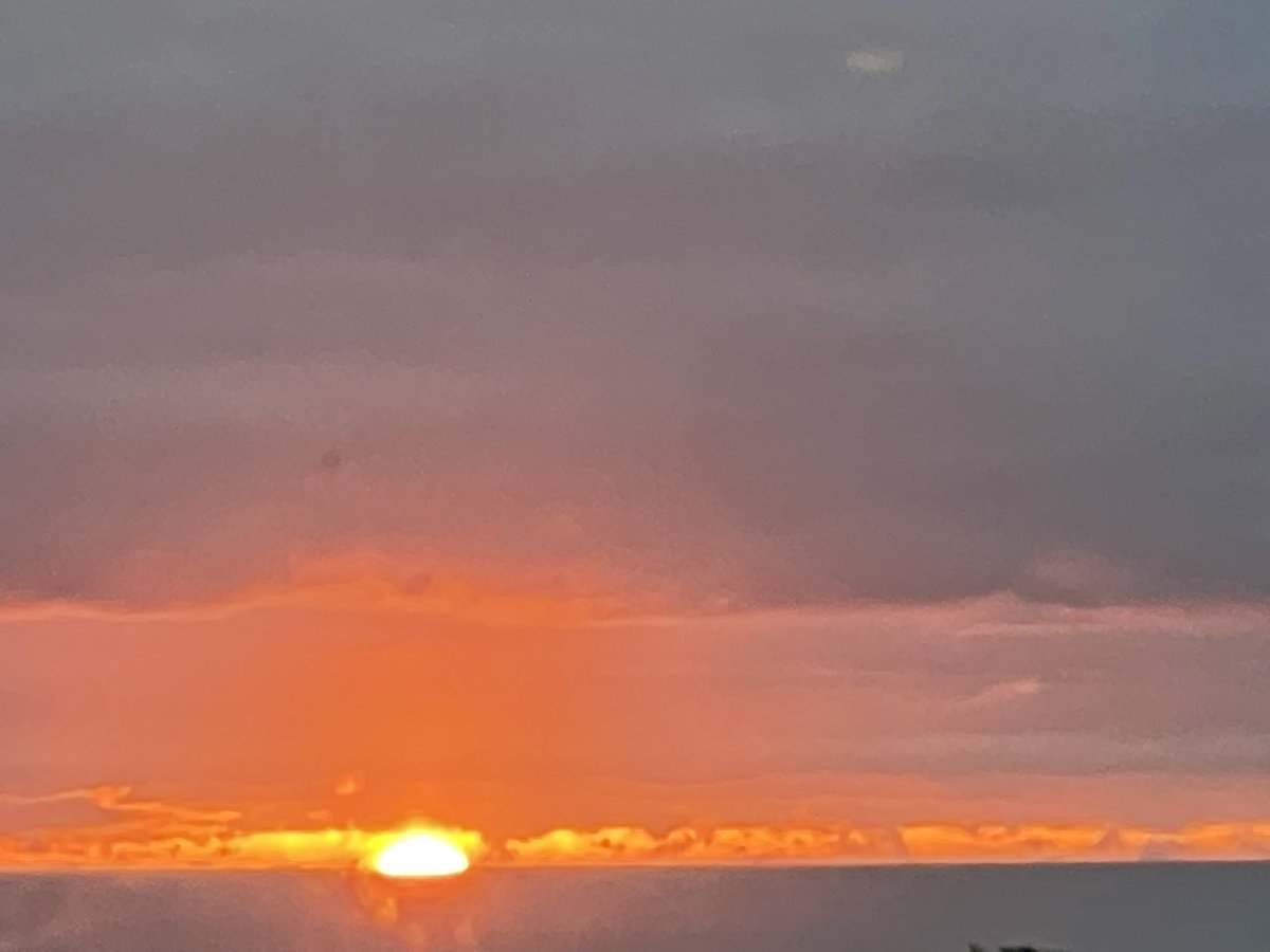 Diane Barlow tweet media