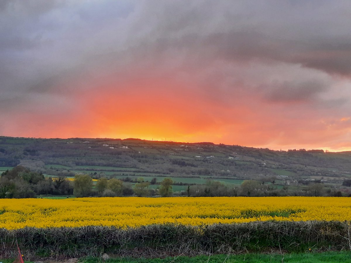 lirvanam's tweet photo. Not a bad view out the back! #carlow https://t.co/Le4XXeq4cw