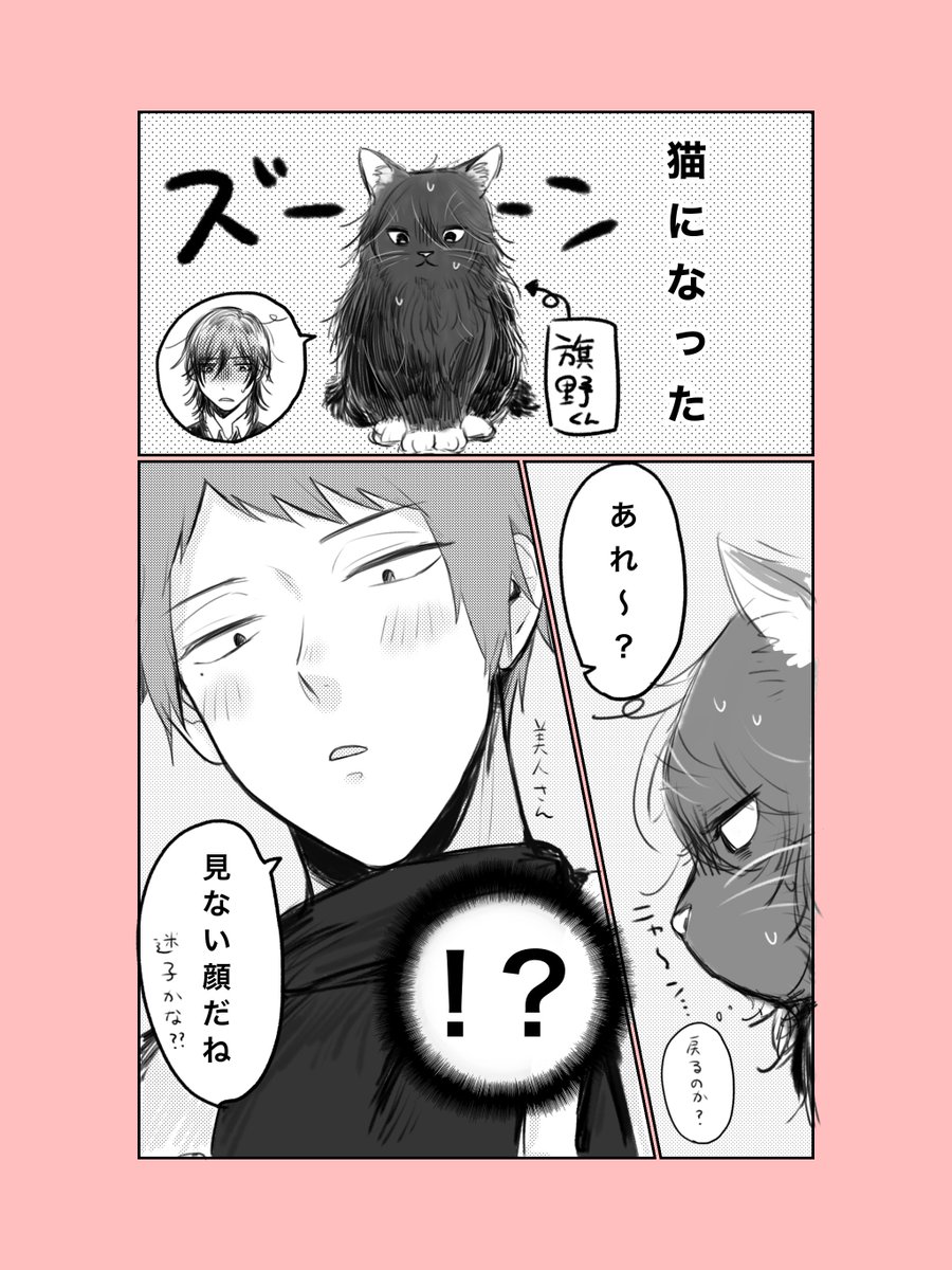 旗主
(🚩が猫になってる) 