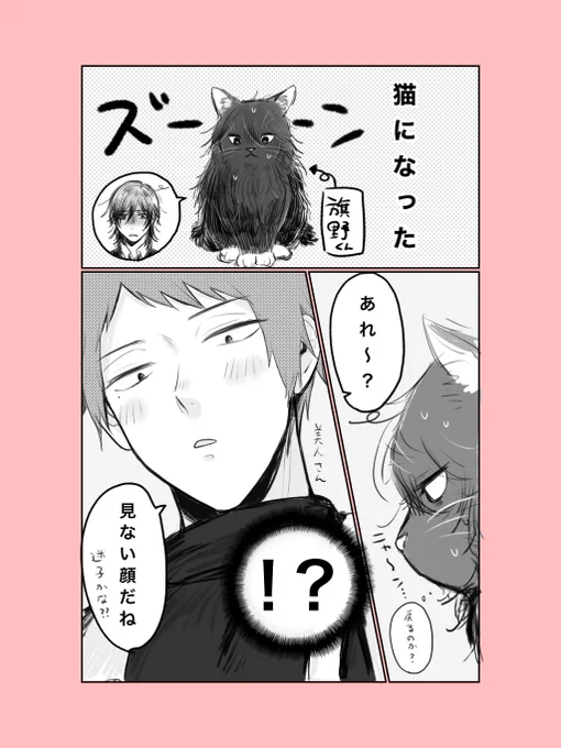 旗主
(🚩が猫になってる) 