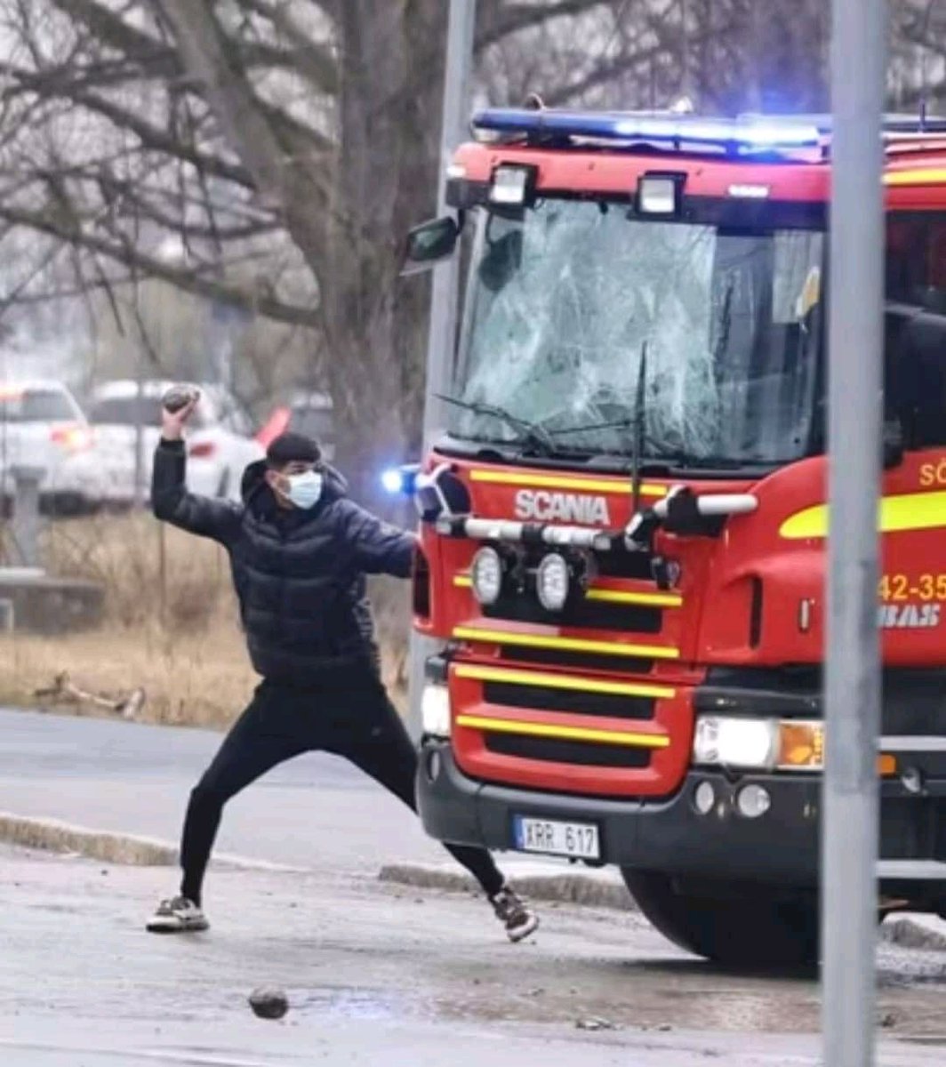 B92158037's tweet photo. En sten i handen, gratis lägenhet, skyhögt bidrag samt vi skattebetalare pröjsar för reparationen på brandbilen. https://t.co/hScNOAEexS