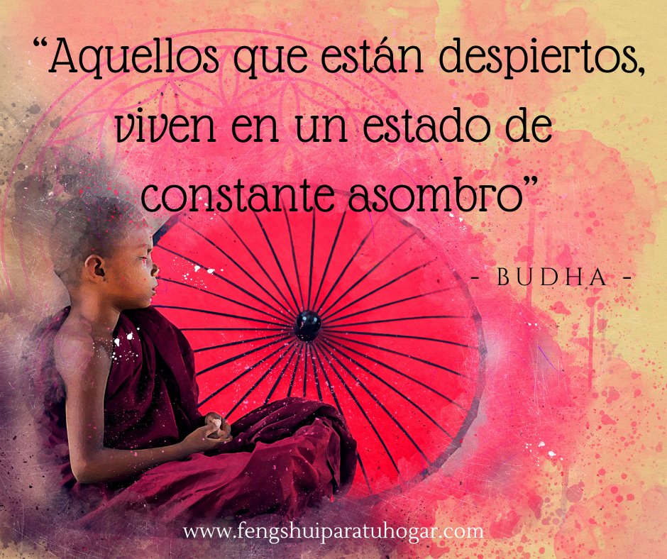 #despertar #Buda #Budha #fengshuiparatuhogar
facebook.com/Mar%C3%ADa-Alm…