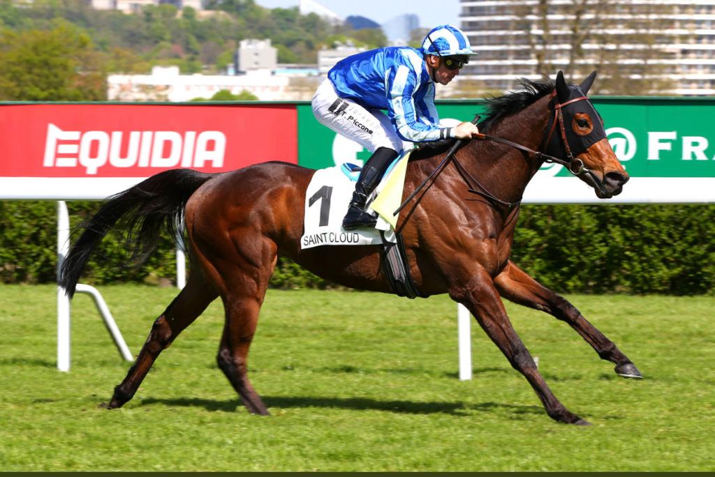 Ecurie Gavin Hernon tweet media