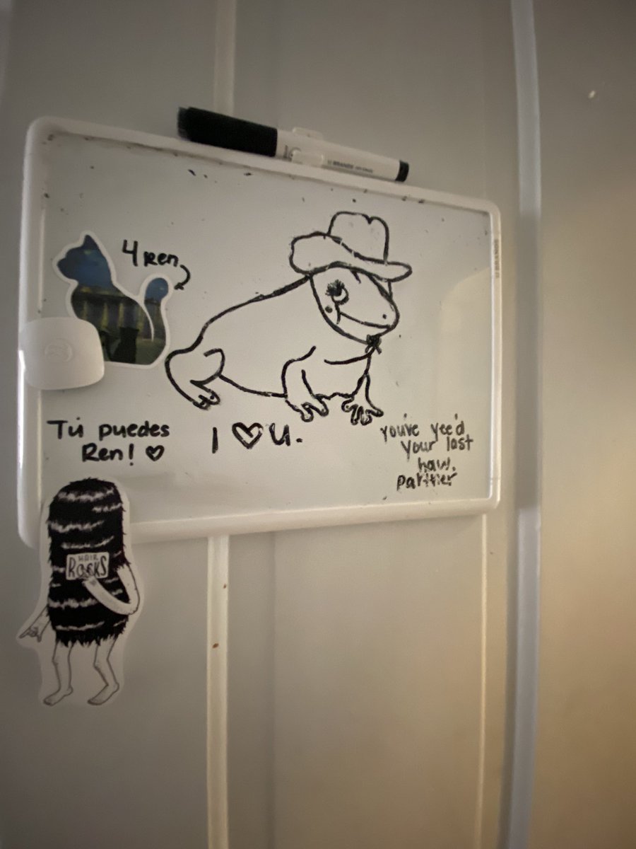 reennaae's tweet photo. my roommates are so FUCKIN cute https://t.co/2pyO1STLPY