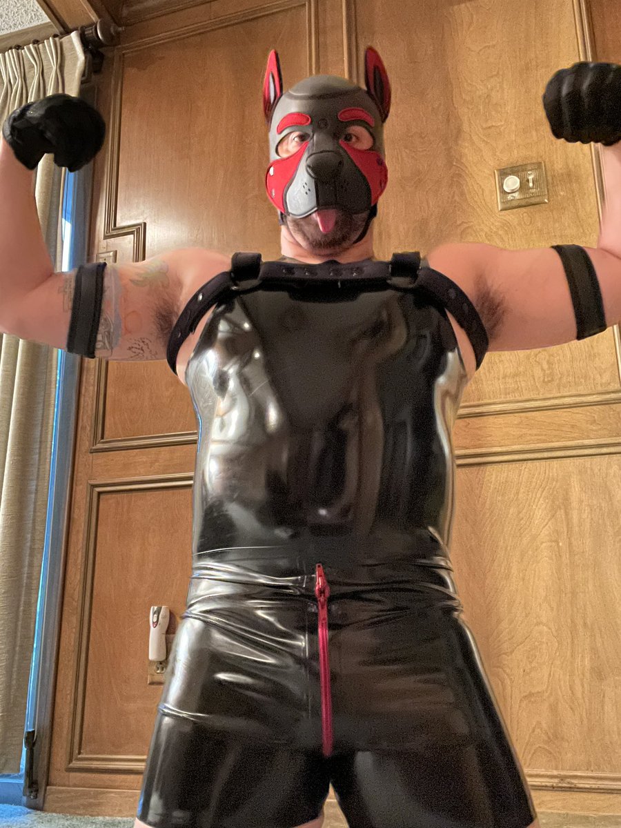 rubber_tex's tweet photo. An obedient rubber muscle pup will always FLEX when commanded to…
#rubberflex #rubberfetish #rubberkink #rubberpup #pupplayfetish #musclepup #musclepupintraining https://t.co/aMVosR9FwC
