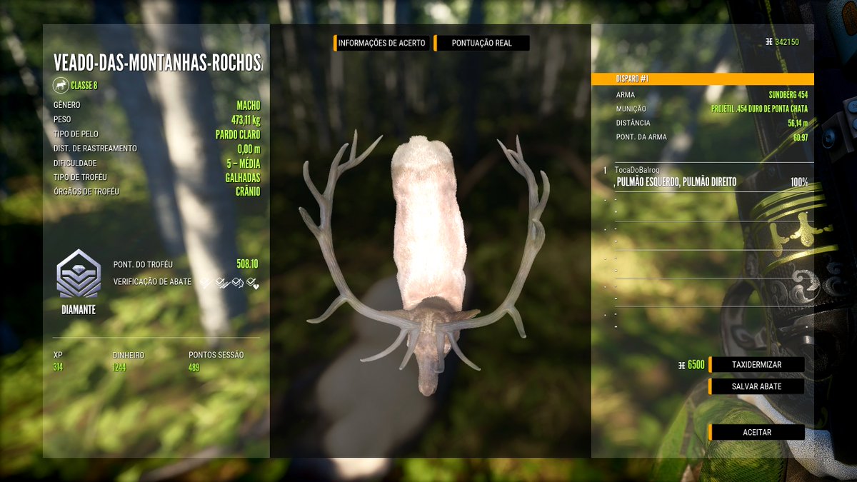tocadobalrog's tweet photo. Monstrinho que passou na minha frente durante as missões de Silver Ridge Peaks.
#thehunter #thehuntercallofthewild #thehuntercotw #elk #elkhunting #454casull https://t.co/vvmsDXsjoq