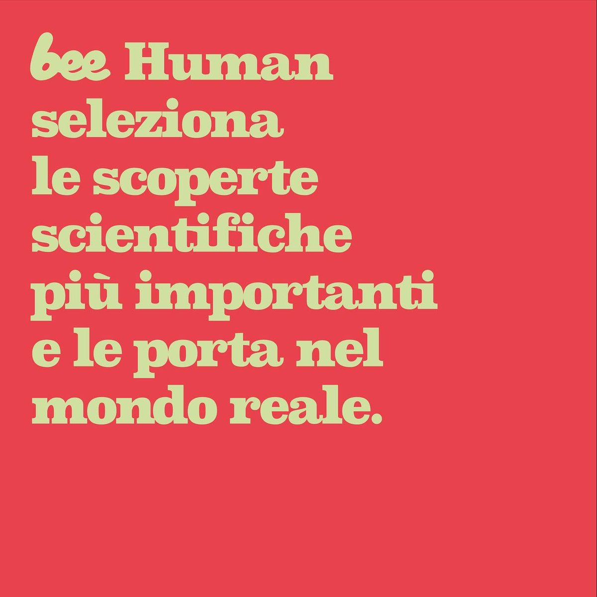 Bee Human 🐝 tweet media