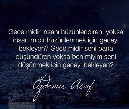 Kül kedisi tweet media