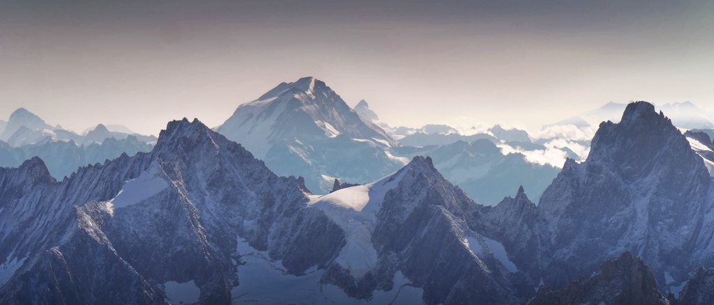 Al Powell tweet media