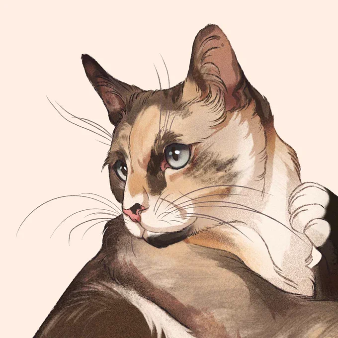 Cat? Yes please 