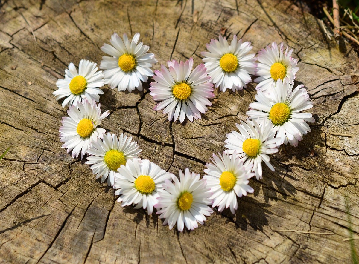 Marden-Kane would like to share with everyone wishes of peace, kindness and understanding as we celebrate and observe Passover, Easter and Ramadan.