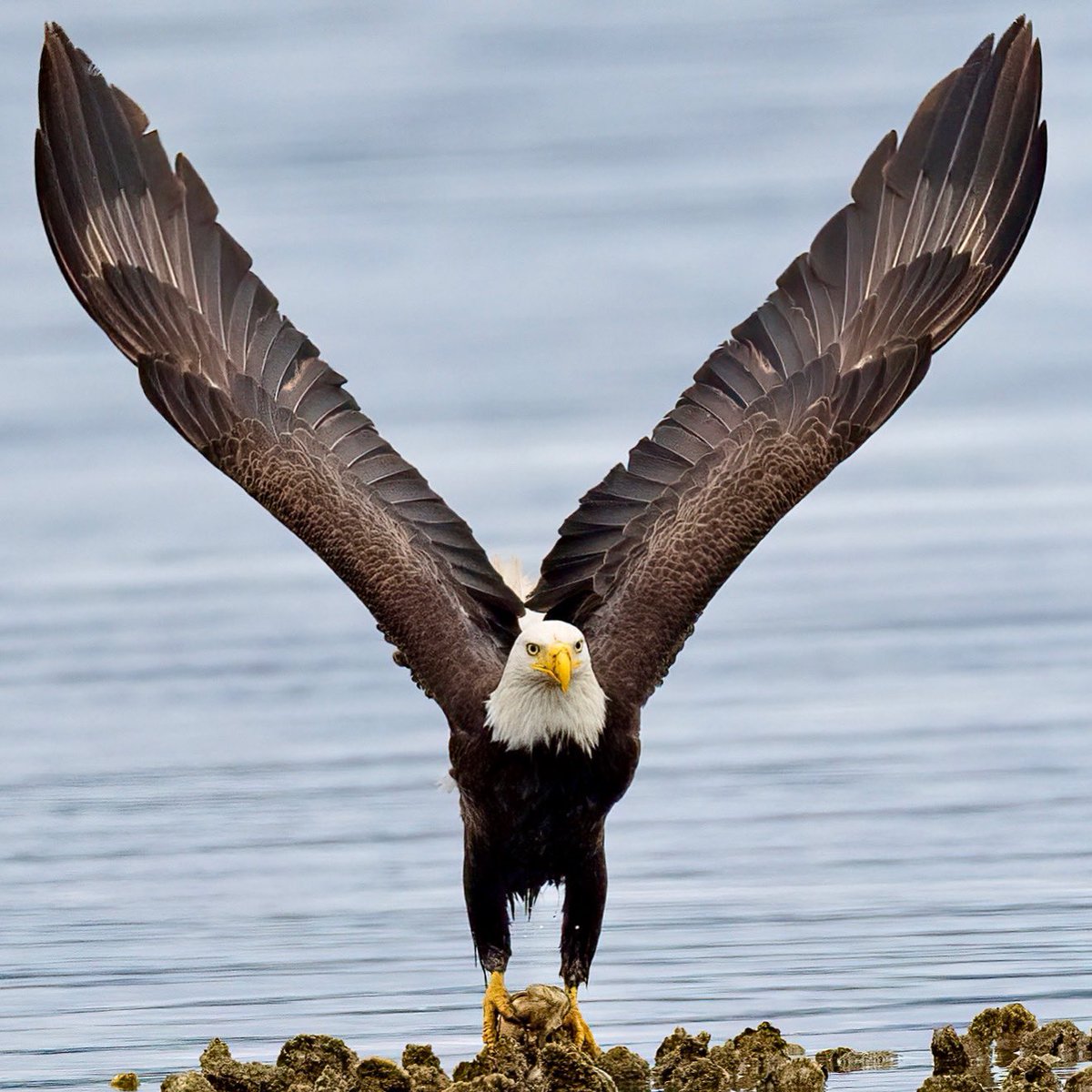 Mark Smith Photography tweet media